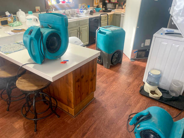  Pine Mountain Clu, CA Water damage restoration Pros